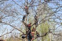 Filename=000_13J5VA.jpg
Filesize=303KiB
Dimensions=1000x666
Date added=Apr 01, 2018 000_13J5VA.jpg