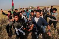 Filename=000_1421S4.jpg
Filesize=168KiB
Dimensions=1000x670
Date added=Apr 15, 2018 000_1421S4.jpg