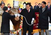 Filename=000_1BX4K2.jpg
Filesize=134KiB
Dimensions=1000x683
Date added=Jan 02, 2019 000_1BX4K2.jpg