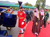Filename=000_1DK74Y.jpg
Filesize=163KiB
Dimensions=1000x744
Date added=Feb 18, 2019 000_1DK74Y.jpg