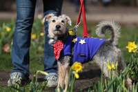 Filename=000_1EG0EL.jpg
Filesize=231KiB
Dimensions=2048x1365
Date added=Mar 10, 2019 000_1EG0EL.jpg