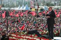 Filename=000_1F099N.jpg
Filesize=181KiB
Dimensions=1000x664
Date added=Mar 24, 2019 000_1F099N.jpg