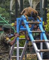 Filename=000_1LL798.jpg
Filesize=157KiB
Dimensions=820x1000
Date added=Oct 21, 2019 000_1LL798.jpg