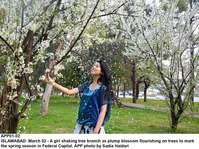 Filename=APP01-02Islamabad~14.jpg
Filesize=406KiB
Dimensions=1200x899
Date added=Mar 02, 2020 APP01-02Islamabad~14.jpg