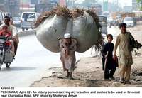 Filename=APP01-02Peshawar.jpg
Filesize=188KiB
Dimensions=1000x691
Date added=Apr 02, 2018 APP01-02Peshawar.jpg