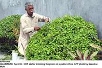 Filename=APP01-06Islamabad~11.jpg
Filesize=328KiB
Dimensions=1200x809
Date added=Apr 06, 2020 APP01-06Islamabad~11.jpg