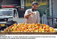 Filename=APP01-17Islamabad~14.jpg
Filesize=989KiB
Dimensions=1200x807
Date added=May 17, 2020 APP01-17Islamabad~14.jpg