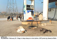 Filename=APP01-23Islamabad~11.jpg
Filesize=195KiB
Dimensions=1200x859
Date added=Feb 23, 2020 APP01-23Islamabad~11.jpg