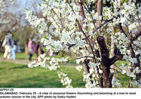 Filename=APP01-25Islamabad~17.jpg
Filesize=346KiB
Dimensions=1200x842
Date added=Feb 25, 2020 APP01-25Islamabad~17.jpg