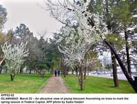 Filename=APP02-02Islamabad~12.jpg
Filesize=334KiB
Dimensions=1200x916
Date added=Mar 02, 2020 APP02-02Islamabad~12.jpg
