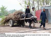 Filename=APP02-02Peshawar.jpg
Filesize=225KiB
Dimensions=1000x729
Date added=Apr 02, 2018 APP02-02Peshawar.jpg