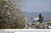 Filename=APP02-14Islamabad~9.jpg
Filesize=385KiB
Dimensions=1200x780
Date added=Mar 14, 2020 APP02-14Islamabad~9.jpg