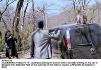 Filename=APP02-16Islamabad~13.jpg
Filesize=255KiB
Dimensions=1200x828
Date added=Feb 16, 2020 APP02-16Islamabad~13.jpg