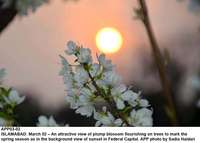 Filename=APP03-02Islamabad~11.jpg
Filesize=97KiB
Dimensions=1200x858
Date added=Mar 02, 2020 APP03-02Islamabad~11.jpg