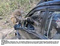 Filename=APP03-16Islamabad~13.jpg
Filesize=260KiB
Dimensions=1200x922
Date added=Feb 16, 2020 APP03-16Islamabad~13.jpg