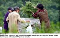 Filename=APP03-16Rawalpindi~1.jpg
Filesize=248KiB
Dimensions=1200x769
Date added=Aug 16, 2019 APP03-16Rawalpindi~1.jpg