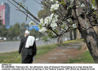 Filename=APP03-23Islamabad~8.jpg
Filesize=193KiB
Dimensions=1200x874
Date added=Feb 23, 2020 APP03-23Islamabad~8.jpg