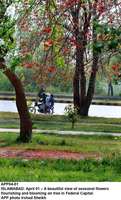 Filename=APP04-01Islamabad.jpg
Filesize=225KiB
Dimensions=605x1000
Date added=Apr 01, 2018 APP04-01Islamabad.jpg