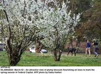Filename=APP04-02Islamabad~8.jpg
Filesize=400KiB
Dimensions=1200x884
Date added=Mar 02, 2020 APP04-02Islamabad~8.jpg