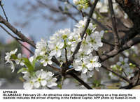 Filename=APP04-23Islamabad~7.jpg
Filesize=172KiB
Dimensions=1200x883
Date added=Feb 23, 2020 APP04-23Islamabad~7.jpg