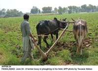 Filename=APP04-24Faisalabad~0.jpg
Filesize=353KiB
Dimensions=1200x869
Date added=Jun 24, 2019 APP04-24Faisalabad~0.jpg