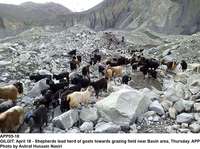 Filename=APP05-18Gilgit.jpg
Filesize=284KiB
Dimensions=1200x894
Date added=Apr 18, 2019 APP05-18Gilgit.jpg