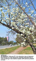 Filename=APP05-23Islamabad~9.jpg
Filesize=298KiB
Dimensions=796x1347
Date added=Feb 23, 2020 APP05-23Islamabad~9.jpg
