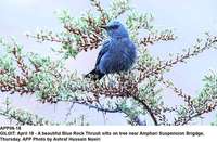 Filename=APP06-18Gilgit.jpg
Filesize=203KiB
Dimensions=1200x786
Date added=Apr 18, 2019 APP06-18Gilgit.jpg
