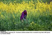 Filename=APP06-23Faisalabad~0.jpg
Filesize=298KiB
Dimensions=1200x818
Date added=Feb 23, 2020 APP06-23Faisalabad~0.jpg