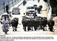 Filename=APP07-06Larkana~0.jpg
Filesize=242KiB
Dimensions=1200x860
Date added=Apr 06, 2020 APP07-06Larkana~0.jpg