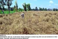 Filename=APP07-18Sargodha.jpg
Filesize=361KiB
Dimensions=1200x808
Date added=Apr 18, 2019 APP07-18Sargodha.jpg