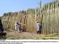 Filename=APP09-02Lahore.jpg
Filesize=286KiB
Dimensions=1000x743
Date added=Apr 02, 2018 APP09-02Lahore.jpg