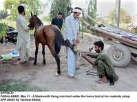 Filename=APP09-31Faisalabad.jpg
Filesize=292KiB
Dimensions=1200x893
Date added=May 31, 2020 APP09-31Faisalabad.jpg