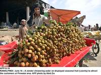 Filename=APP10-16Rawalpindi~1.jpg
Filesize=261KiB
Dimensions=1200x896
Date added=Jun 16, 2020 APP10-16Rawalpindi~1.jpg