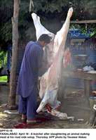Filename=APP10-18Faisalabad~0.jpg
Filesize=180KiB
Dimensions=900x1305
Date added=Apr 18, 2019 APP10-18Faisalabad~0.jpg