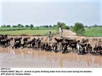 Filename=APP10-31Faisalabad.JPG
Filesize=222KiB
Dimensions=1200x896
Date added=May 31, 2020 APP10-31Faisalabad.JPG