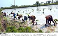 Filename=APP11-19Faisalabad~1.jpg
Filesize=295KiB
Dimensions=1200x742
Date added=Jun 19, 2020 APP11-19Faisalabad~1.jpg