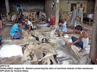 Filename=APP12-16Faisalabad~0.jpg
Filesize=285KiB
Dimensions=1200x893
Date added=Aug 16, 2019 APP12-16Faisalabad~0.jpg