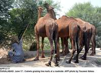 Filename=APP12-17Faisalabad.jpg
Filesize=341KiB
Dimensions=1200x869
Date added=Jun 17, 2020 APP12-17Faisalabad.jpg