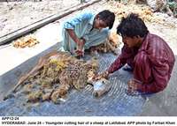 Filename=APP12-24Hyderabad~0.jpg
Filesize=289KiB
Dimensions=1200x860
Date added=Jun 24, 2019 APP12-24Hyderabad~0.jpg