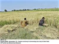 Filename=APP14-16Faisalabad.jpg
Filesize=400KiB
Dimensions=1200x893
Date added=Nov 16, 2019 APP14-16Faisalabad.jpg