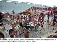 Filename=APP15-16Peshawar.jpg
Filesize=287KiB
Dimensions=1200x889
Date added=Aug 16, 2019 APP15-16Peshawar.jpg