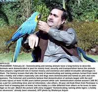 Filename=APP15-22Peshawar.jpg
Filesize=384KiB
Dimensions=1200x1131
Date added=Feb 22, 2019 APP15-22Peshawar.jpg