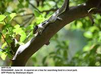 Filename=APP15-24Peshawar.jpg
Filesize=141KiB
Dimensions=1200x887
Date added=Jun 24, 2019 APP15-24Peshawar.jpg