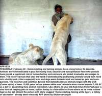 Filename=APP16-22Peshawar.jpg
Filesize=273KiB
Dimensions=1200x1130
Date added=Feb 22, 2019 APP16-22Peshawar.jpg