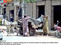 Filename=APP17-16Multan~0.jpg
Filesize=275KiB
Dimensions=1200x887
Date added=Aug 16, 2019 APP17-16Multan~0.jpg