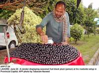 Filename=APP17-24Peshawar.jpg
Filesize=313KiB
Dimensions=1200x893
Date added=Jun 24, 2019 APP17-24Peshawar.jpg
