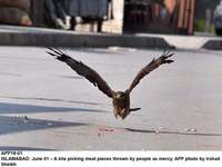 Filename=APP18-01Islamabad~1.jpg
Filesize=147KiB
Dimensions=1200x902
Date added=Jun 01, 2020 APP18-01Islamabad~1.jpg