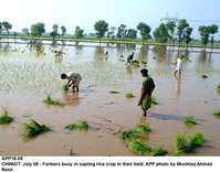 Filename=APP18-08Chiniot.jpg
Filesize=176KiB
Dimensions=1000x783
Date added=Jul 08, 2018 APP18-08Chiniot.jpg