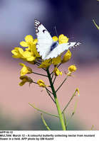 Filename=APP18-12Multan~5.jpg
Filesize=130KiB
Dimensions=903x1296
Date added=Mar 12, 2020 APP18-12Multan~5.jpg